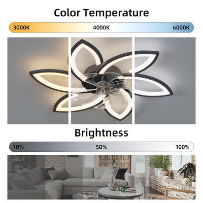 Acrylic Ceiling Fan